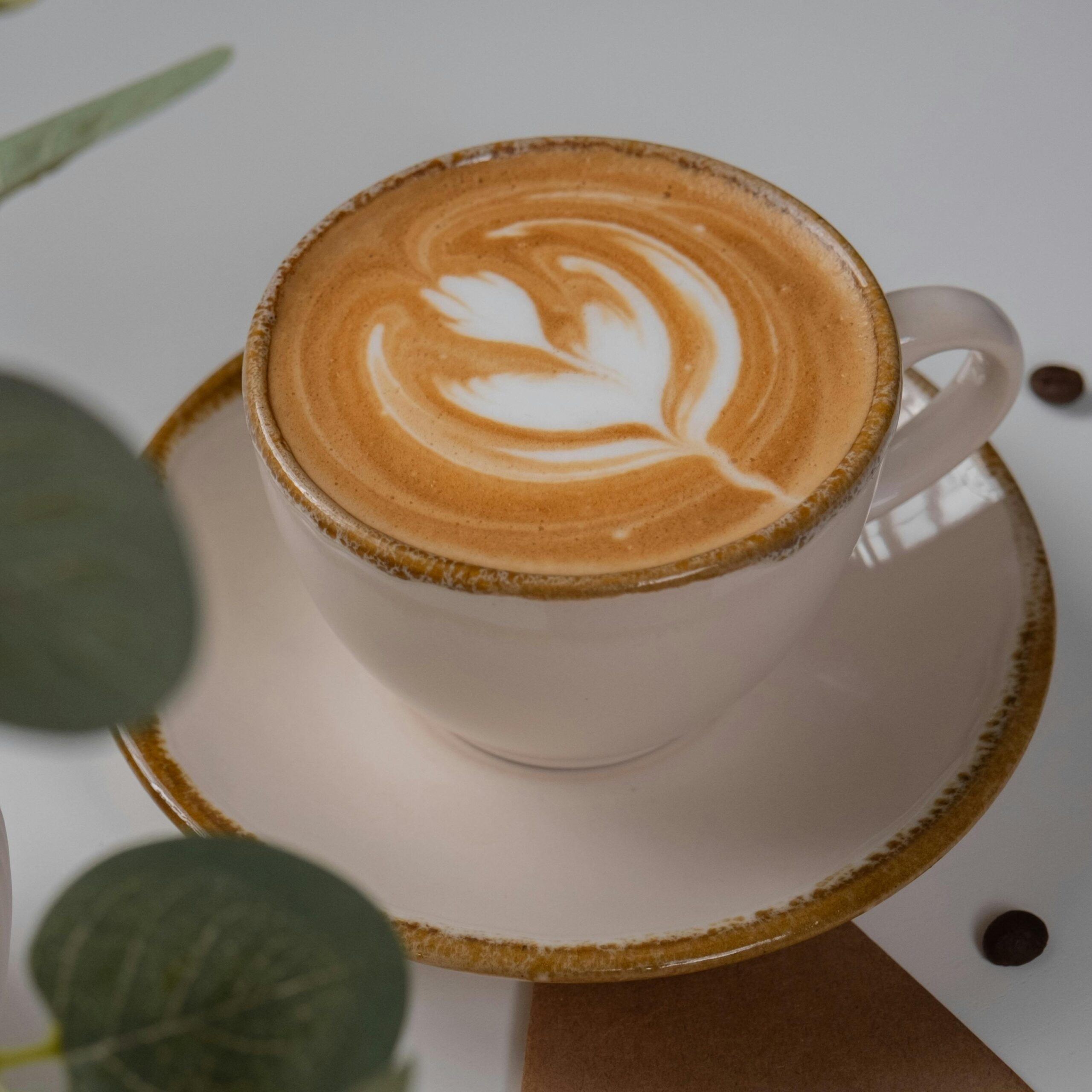 Cuppucino